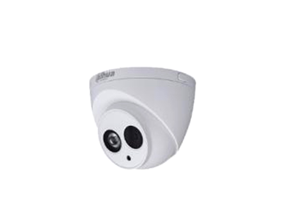 image/红外海螺半球型网络摄像机DH-IPC-HDW4631(6)C-A