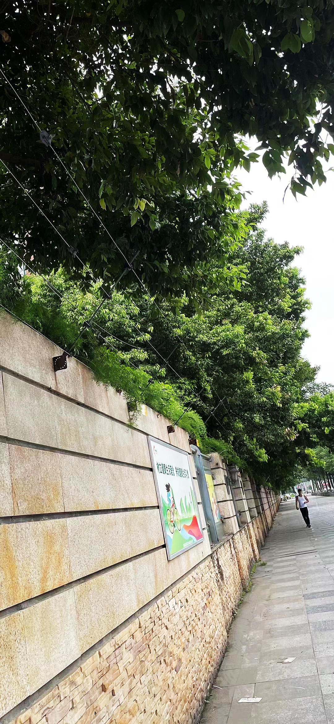 a950043ec417603f92b2d34b0a2730d