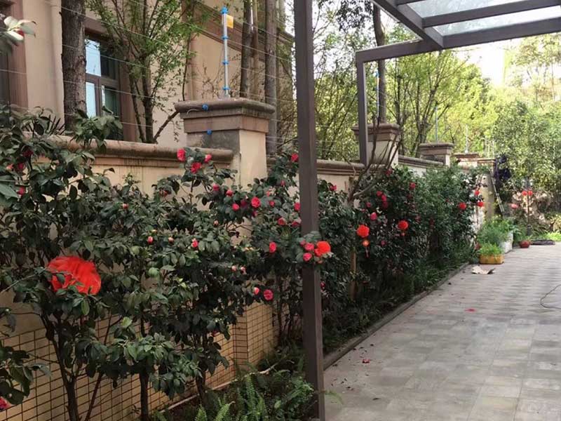 成都雅居乐别墅