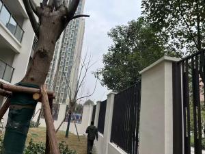 小区六线电子围栏安装中