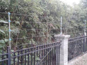 遂宁美宁别墅群