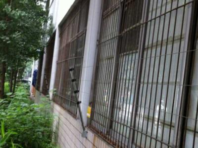 江西景德镇桃园一号