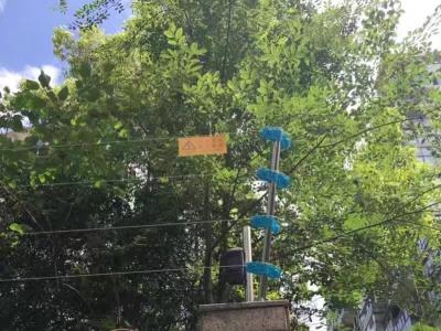 成都铂景湾小区