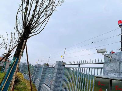 简阳成南工业园区