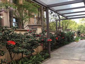 别墅周界解决方案