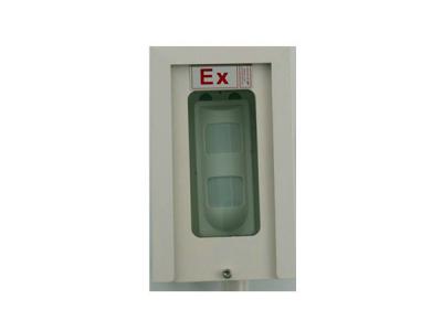 防爆双鉴探测器