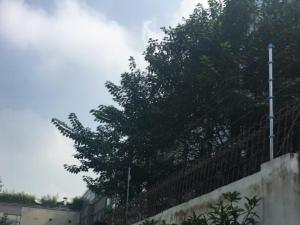 成都青羊大道3号属于省政府小区案例