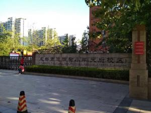 成都泡桐树小学的张力电子围栏已调试完毕，目前已进入运行状态