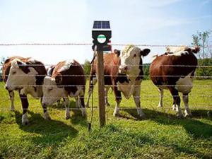 动物（畜牧）电网产品参数及注意事项