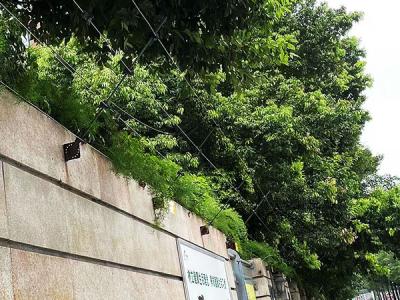 城南公馆及多伦多城堡