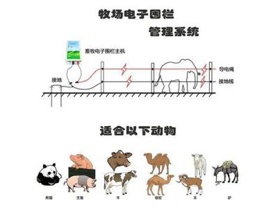 动物(畜牧)电网